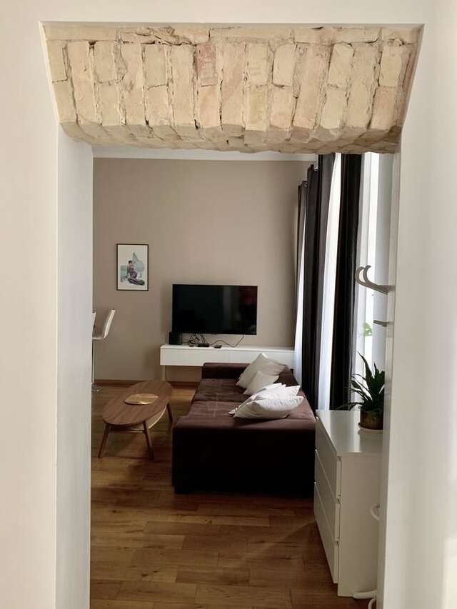 Апартаменты Vilnius street apartment Вильнюс-46