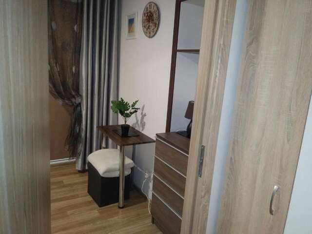 Апартаменты Apartamentai Dana Бирштонас-59