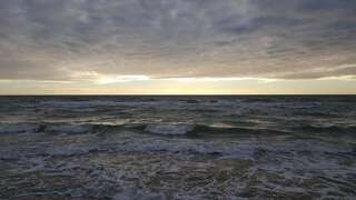 Апартаменты Medziotoju Apartment in Old City Паланга