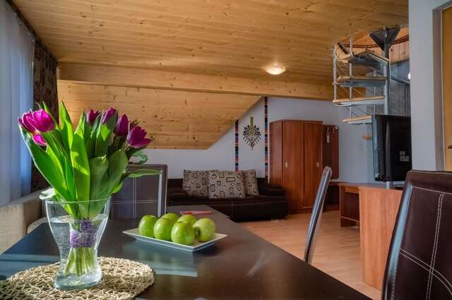 Апарт-отели Aparthotel Delta Zakopane Закопане-31