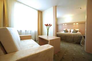 Отель Hotel Cieplice Еленя-Гура Двухместный номер «Комфорт» с 1 кроватью или 2 отдельными кроватями-1