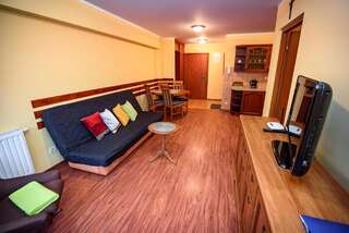 Апартаменты Apartamenty Sun & Snow Krynica Zdrój Крыница-Здруй One-Bedroom Apartment with partial Forest View-2