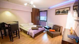 Апартаменты Apartamenty Sun & Snow Krynica Zdrój Крыница-Здруй Апартаменты-студио-4