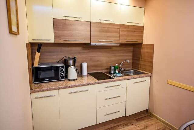 Апартаменты Apartamenty Sun & Snow Krynica Zdrój Крыница-Здруй-58