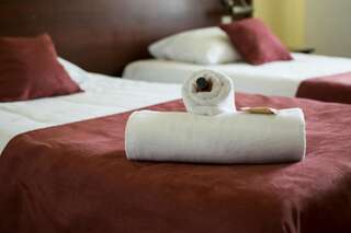 Отели типа «постель и завтрак» Dworek Magnat Модльничка Двухместный номер с 1 кроватью или 2 отдельными кроватями-6