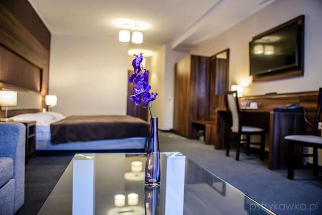 Отель Hotel Pogoria Residence Домброва-Гурнича-13