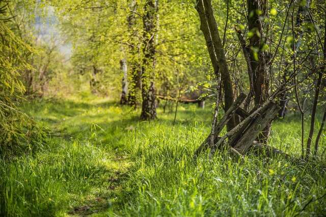 Загородные дома Agroturystyka Barnilka Климкувка-17