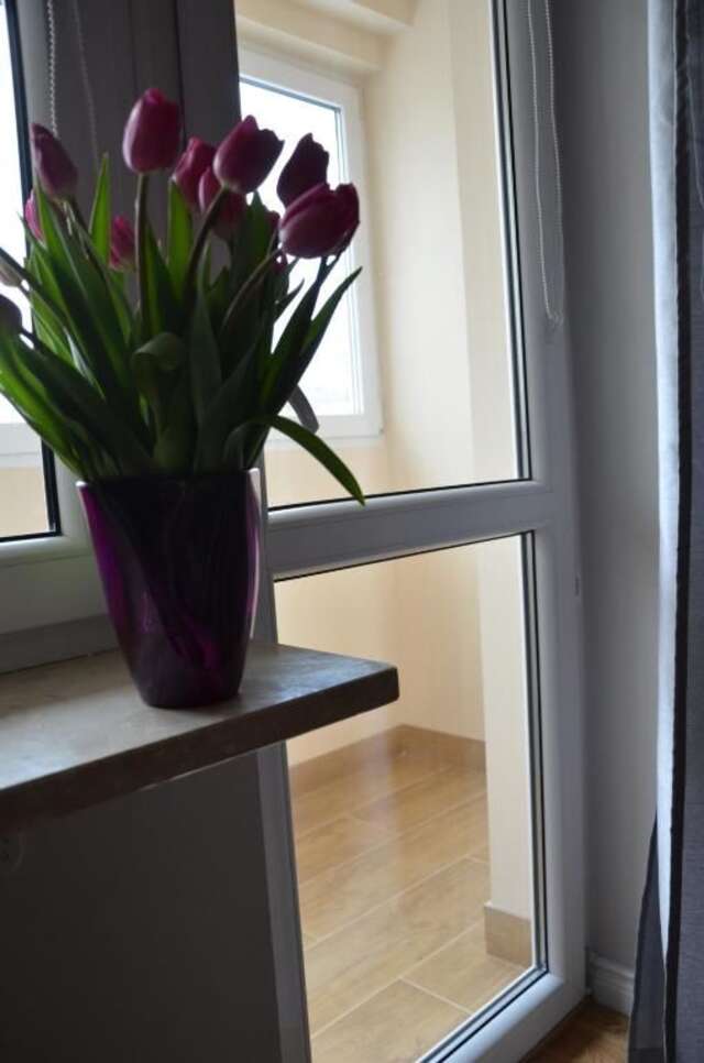 Апартаменты Apartament Orchidea Варшава-40
