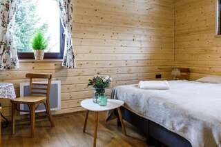 Отели типа «постель и завтрак» Villa Bezycer Gowidlino Двухместный номер с 1 кроватью и собственной ванной комнатой-3