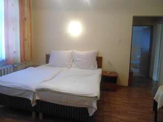 Фото номер Hotel Pod Platanami Двухместный номер с 1 кроватью или 2 отдельными кроватями