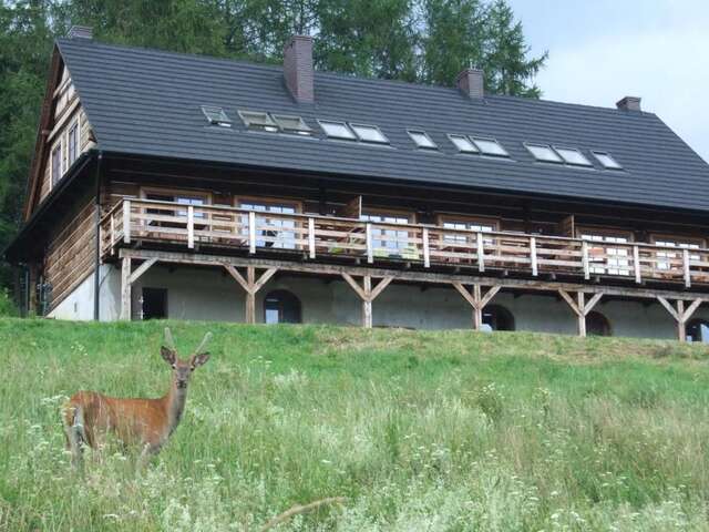 Апартаменты Cudne Manowce Ветлина-78