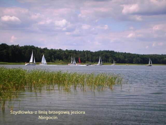 Дома для отпуска Dom Wakacyjny Szydłówka - Mazury Рыдзево-49