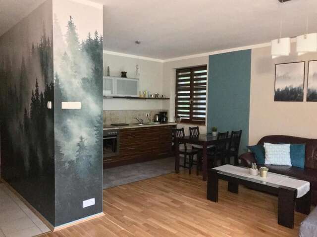 Апартаменты Apartament w Rezydencji Pod Świerkami Карпач-13