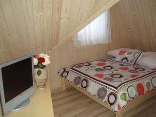 Проживание в семье Apartamenty Pod Limbami Буковина-Татшаньска Стандартный двухместный номер с 1 кроватью-1