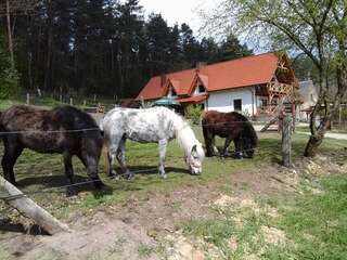 Фото  Agroturystyka w Świcie город Тухоля (36)