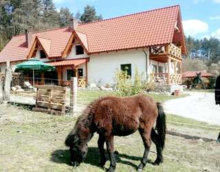 Фото  Agroturystyka w Świcie город Тухоля (37)