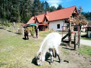 Фото  Agroturystyka w Świcie город Тухоля (38)
