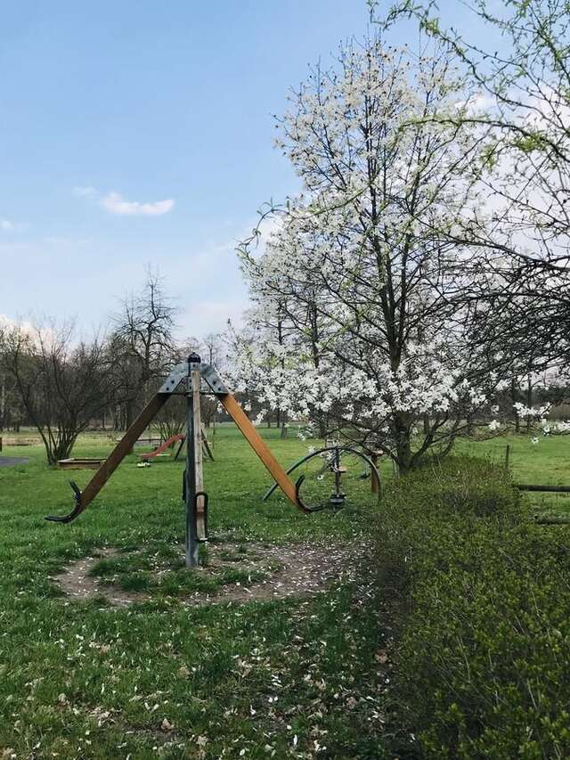 Фермерские дома Agroturystyka Nad Stawem Centawa-12