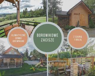 Дома для отпуска Borowikowe Zacisze drewniane domy z dostępem do balii i sauny Falsztyn Дом с 2 спальнями-61