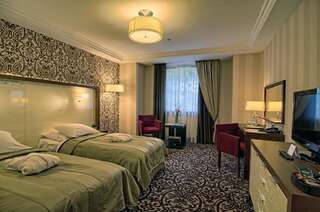 Отель Hotel Czarny Potok Resort SPA & Conference Крыница-Здруй Классический двухместный номер с 1 кроватью или 2 отдельными кроватями-5