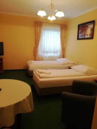 Отель Hotel Malwa Острув-Велькопольски Бюджетный двухместный номер с 1 кроватью-1