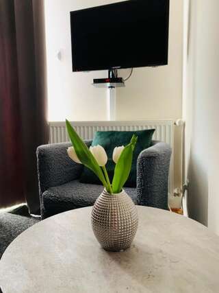 Апартаменты Apartament Ginger Кудова-Здруй Апартаменты с террасой-55