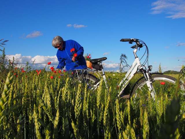 Загородные дома Agroturystyka Lolkowo Srokowo-21