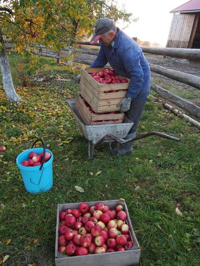 Загородные дома Agroturystyka Lolkowo Srokowo-25