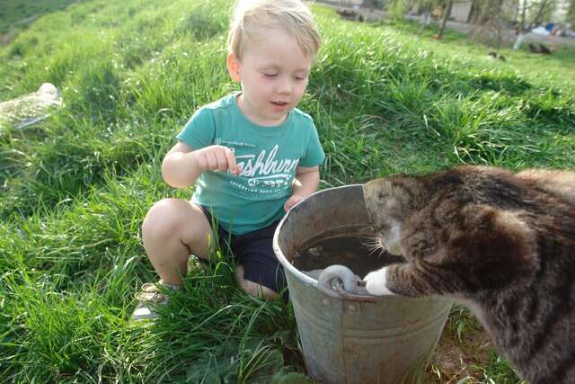 Загородные дома Agroturystyka Lolkowo Srokowo-28