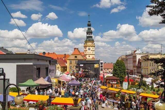 Проживание в семье Der kleine Bauernhof Lubiatów-35