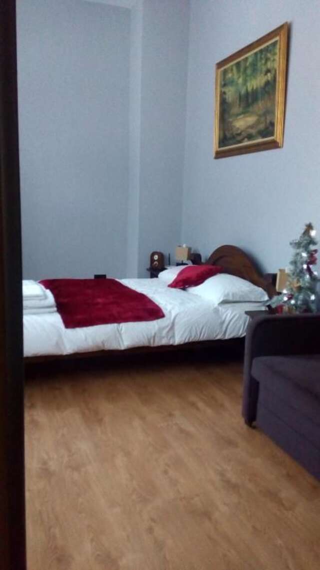 Апартаменты Apartament Pod Wierzbą Пивнична-27