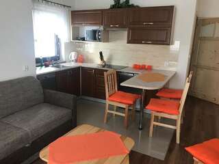 Апартаменты Apartamenty na Brzysku Бялка-Татшаньска Апартаменты - 1-й этаж-1