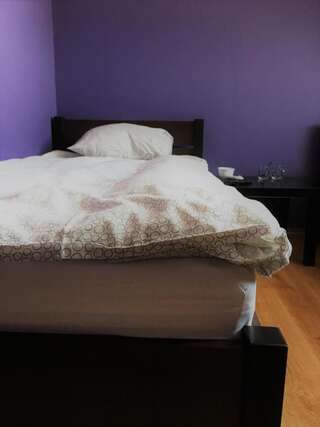 Фото номер Wisełka Двухместный номер с 2 отдельными кроватями и душем