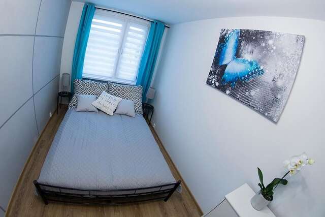 Апартаменты Blue Apartment Cieplice Еленя-Гура-57