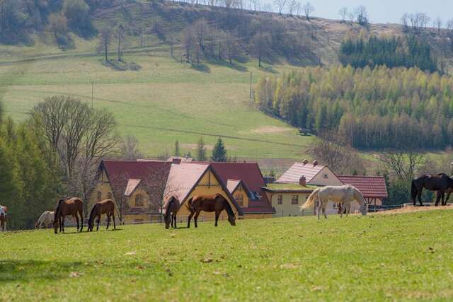 Фермерские дома Stajnia u Kalinów Unisław Śląski-3