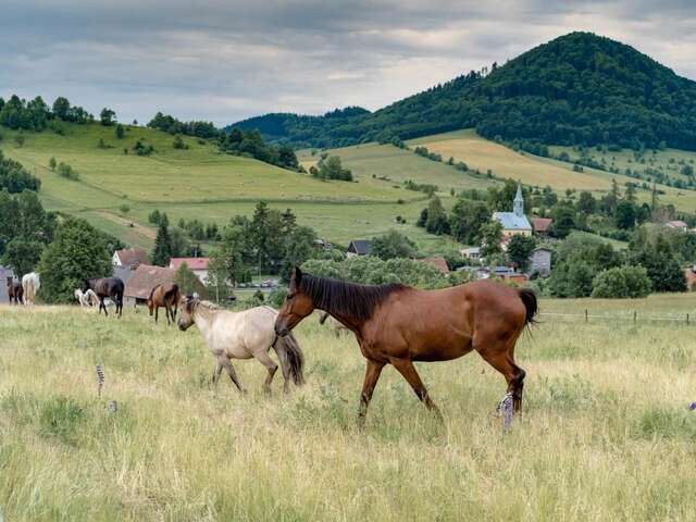 Фермерские дома Stajnia u Kalinów Unisław Śląski-8