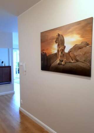 Фото Апартаменты Lion Zen Apartment город Прущ-Гданьский (48)