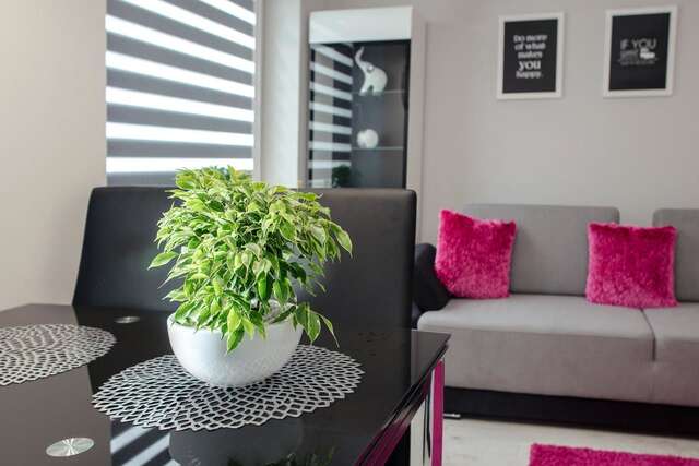 Апартаменты Apartamenty Szewska 7 STREET by Apartamenty Lubelskie Люблин-3