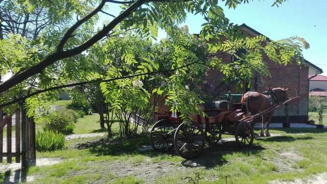 Хостелы Swieże Poddasze u Przybyszów Andruszkowice-31