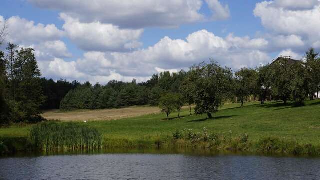 Дома для отпуска Villa Podlachia Wierzbice Górne-15