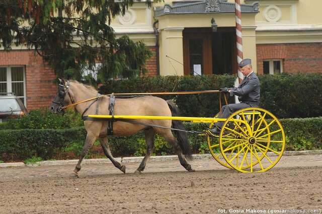 Курортные отели Stado Ogierów Sieraków Серакув-24