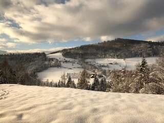 Виллы Top Mountain Villa Висла Вилла с собственным бассейном-26