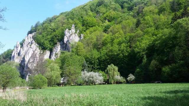 Дома для отпуска Osada Włościańska Ojców-27