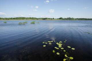 Дома для отпуска Agroturystyka Golubie