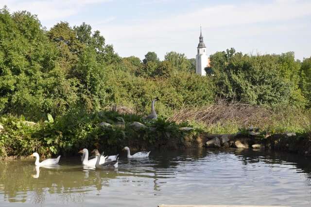 Фермерские дома Lusatia Farm Лесьна-20