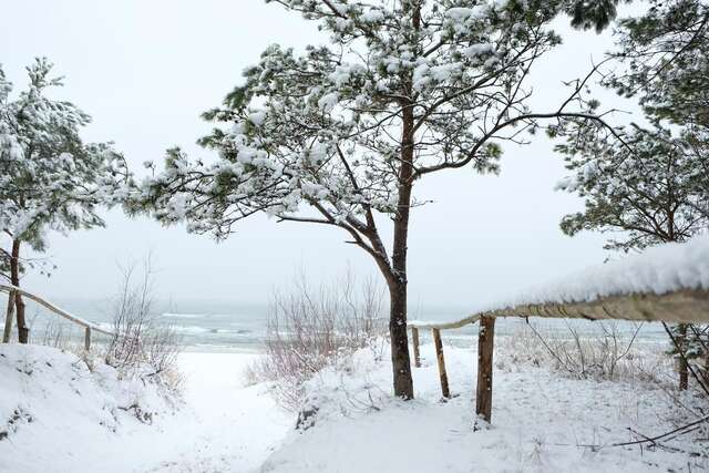 Дома для отпуска Sea You Blue House Рогово-35