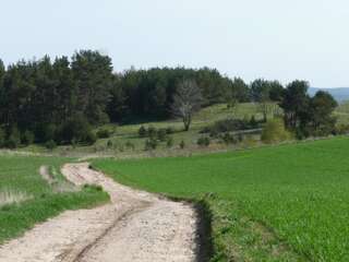 Дома для отпуска Eco-farm Forest Tranquillity Sulicice Дом для отпуска-46