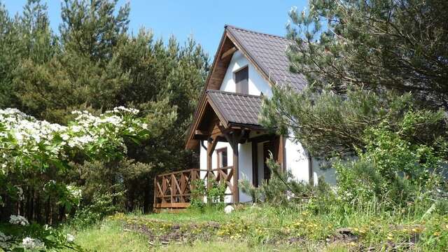 Дома для отпуска Eco-farm Forest Tranquillity Sulicice-33