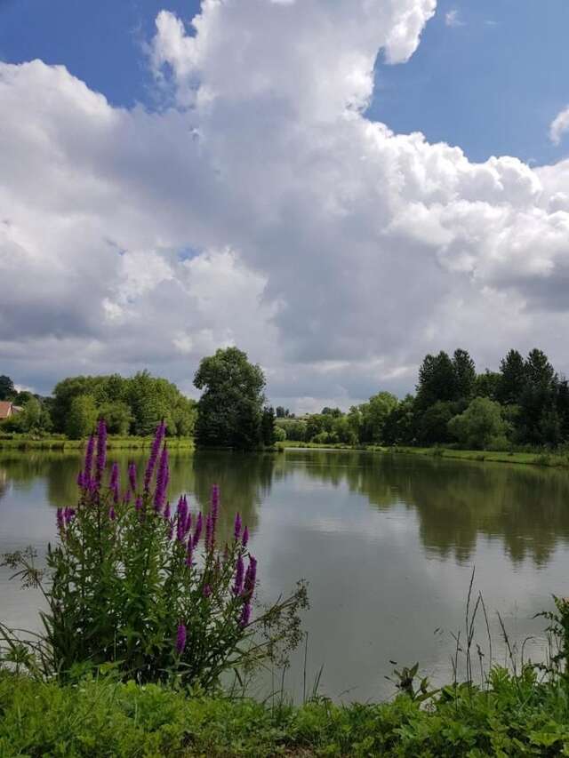 Загородные дома Na Stawach Stryszów-21