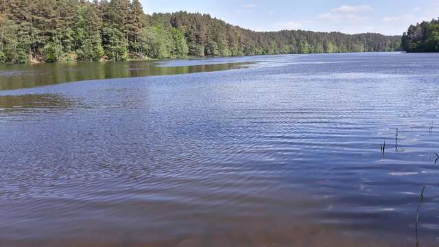 Виллы Krzynia - dom nad jeziorem na wynajem Krzynia-34